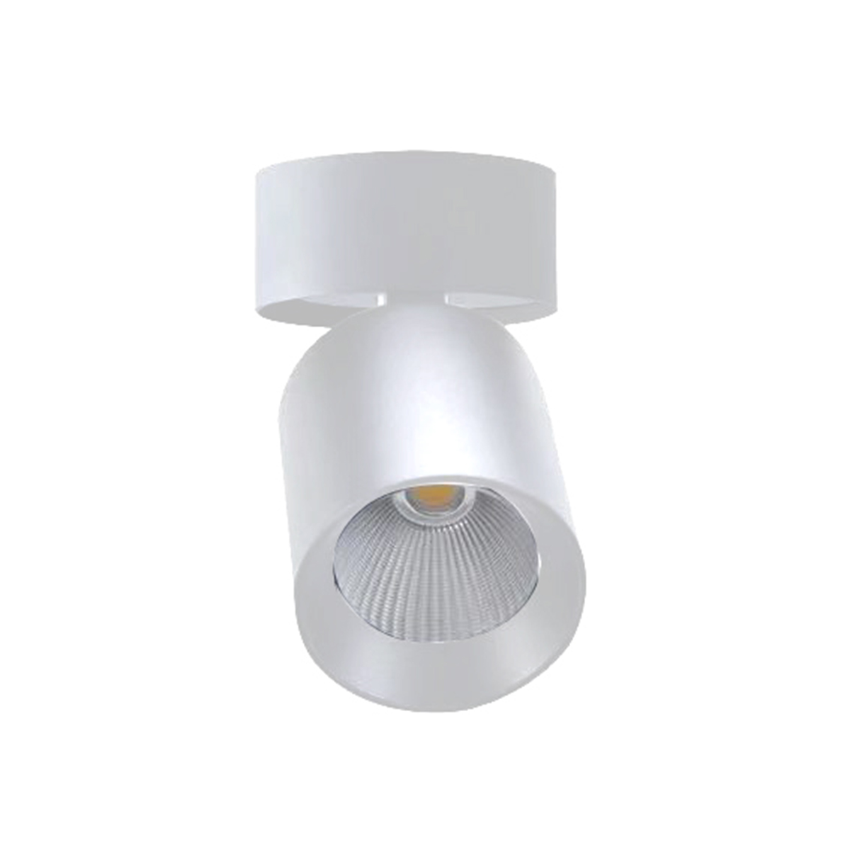 Spot LED en Saillie Orientable 20W CCT(3000K - 4000K - 6500K), Spots Plafonnier à Angle réglable - Blanc