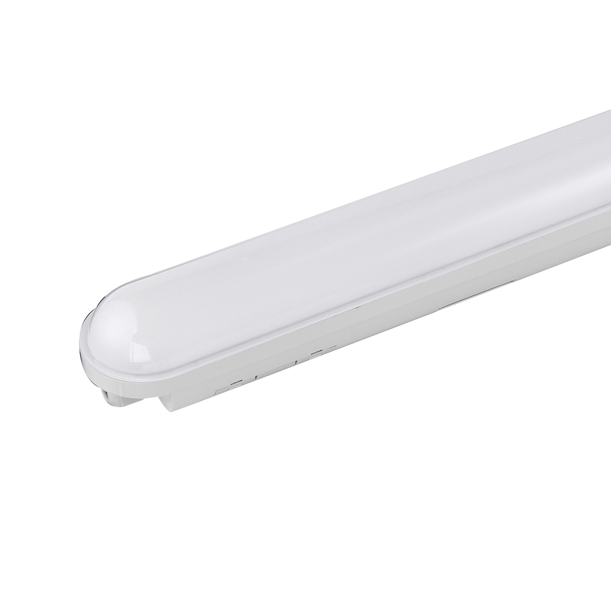 Park Etanche Led 6000K IP65 1200mm/1500mm