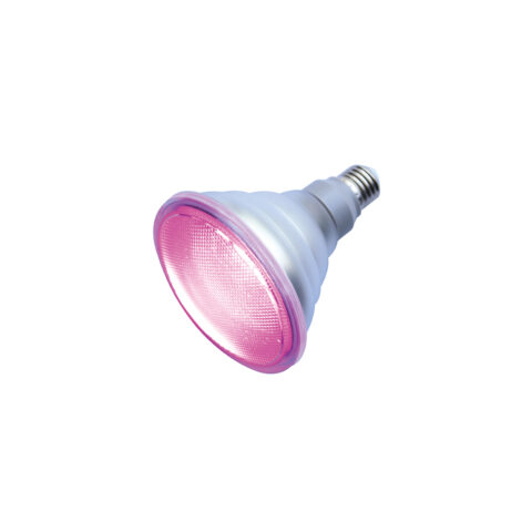 Ampoule LED en couleur E27 PAR38 12W Rose