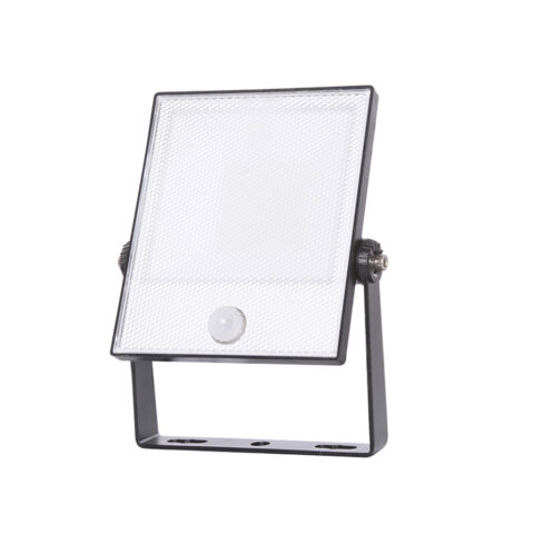 Lot de 12 - Projecteur 20W étanche IP65 5000K avec détecteur de movement