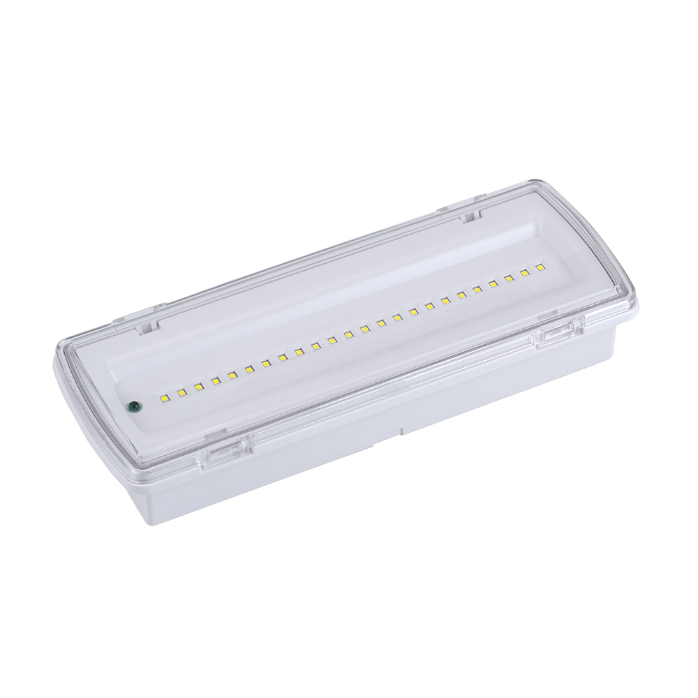 Bloc autonome de sécurité 5W IP65 4K Cadre encastrement et drapeau en plexiglas pour bloc secours
